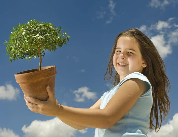 Lány gazdaság kis fa — Stock Fotó