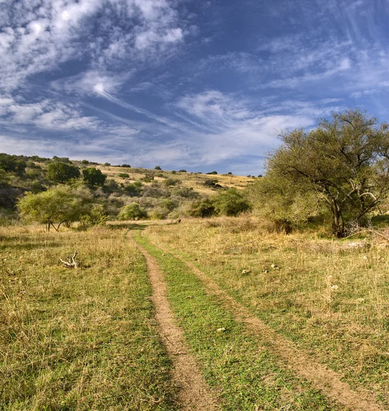 Path in a valley — Stock Photo, Image
