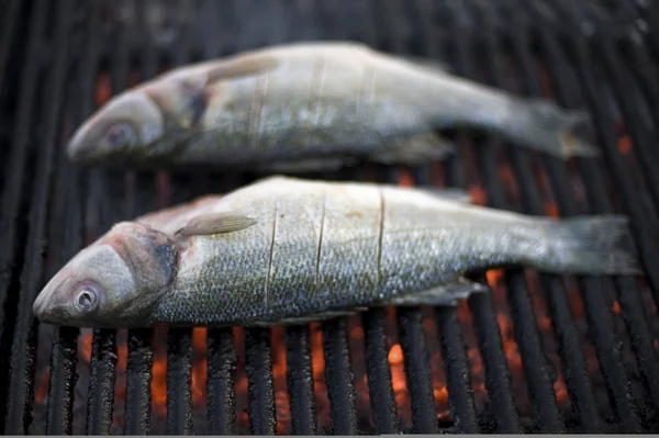 鱼烧烤 — 图库照片