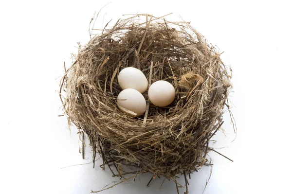 Hnízdo s vejci — Stock fotografie
