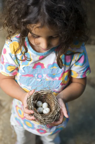 Holčička drží hnízdo s vejci卵と巣を保持している小さな女の子 — ストック写真