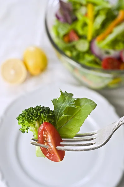 Salata çatalı üzerinde — Stok fotoğraf