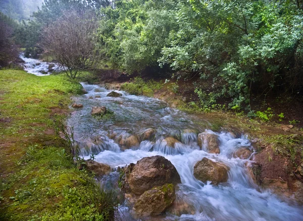 Parod řeka Izrael — Stock fotografie