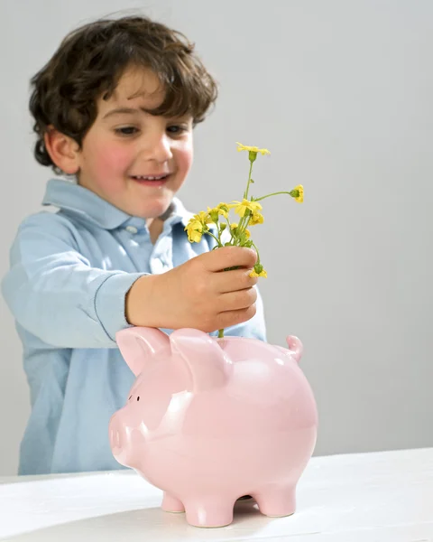 Boy piggy bank flowers — Stock Photo, Image