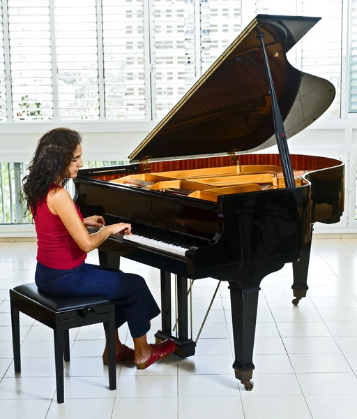 妇女的钢琴家 图库图片