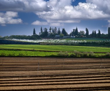 Israeli village of Sde Varburg clipart