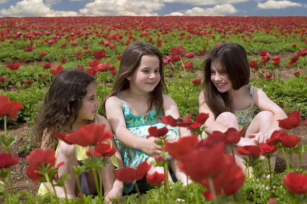 Trzy dziewczynki w czerwonym polu — Zdjęcie stockowe