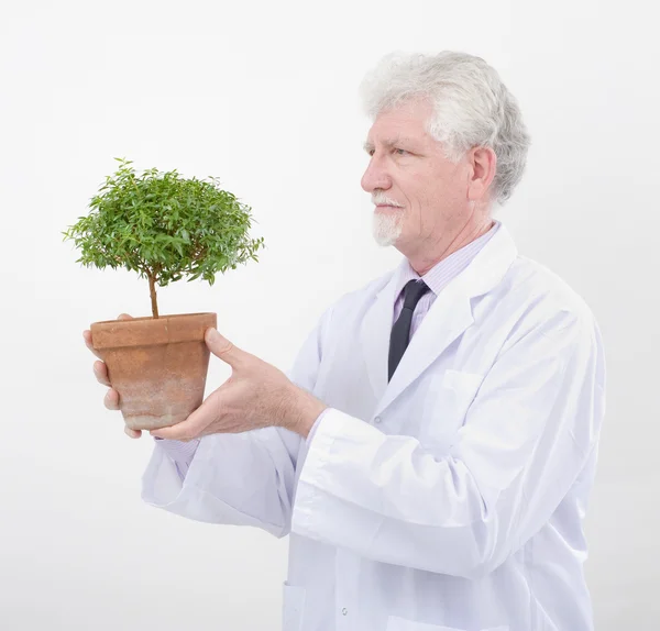 Tudományos főmunkatárs gazdaság növény — Stock Fotó