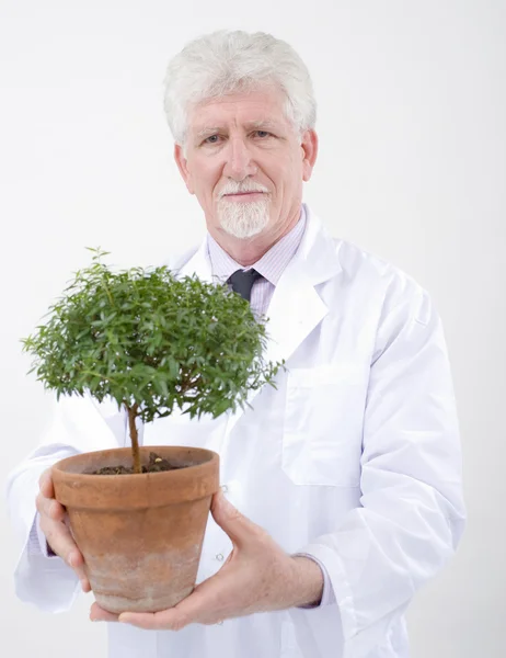 Starszy naukowiec gospodarstwa roślin — Zdjęcie stockowe