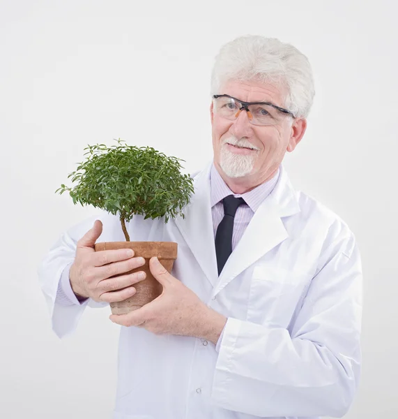 Üst düzey bilim adamı holding bitki — Stok fotoğraf
