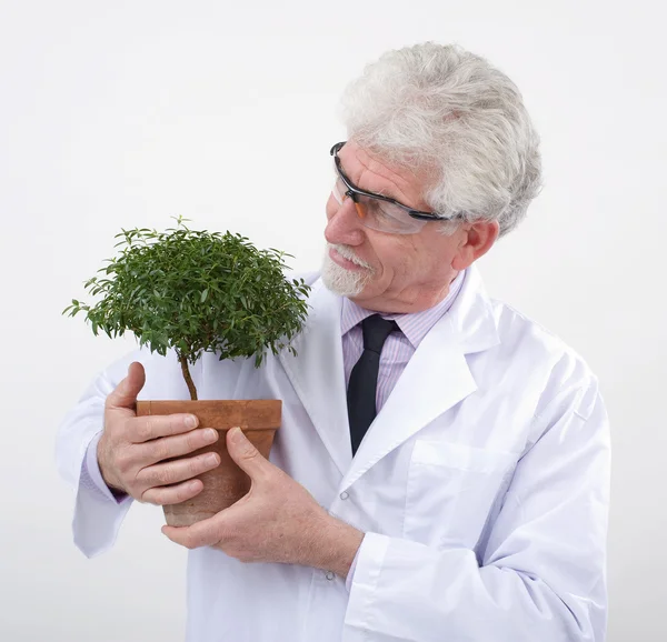 Tudományos főmunkatárs gazdaság növény — Stock Fotó