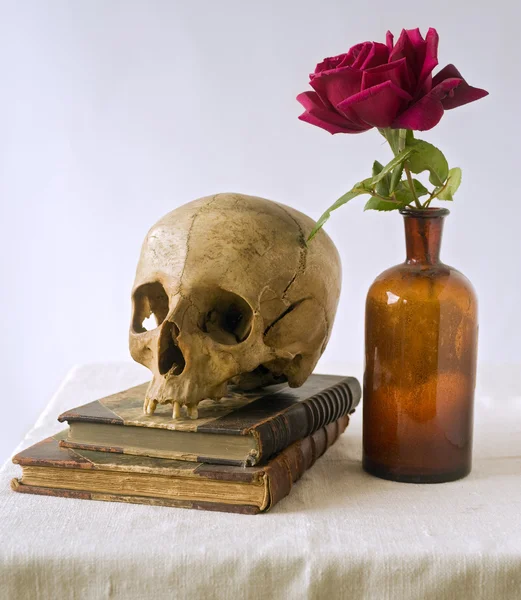 Череп на старих книгах і троянді — стокове фото