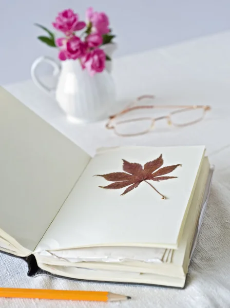 Kitap kuru yaprakları ile — Stok fotoğraf