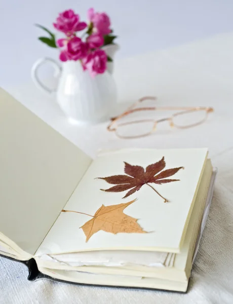 Книга с сухими листьями — стоковое фото