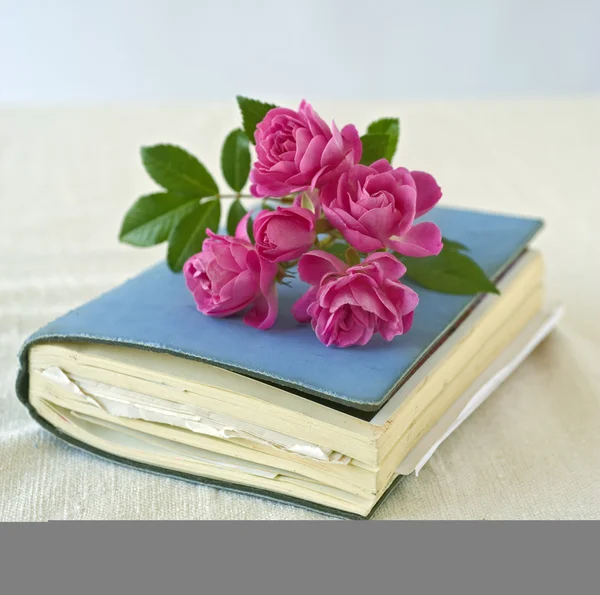 Piccole rose su un diario — Foto Stock