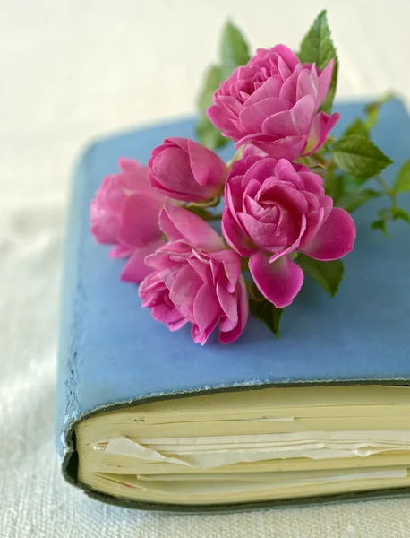 Små rosor på en dagbok — Stockfoto