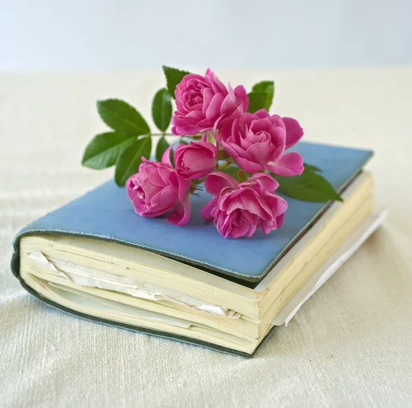 Kleine Rosen auf einem Tagebuch — Stockfoto