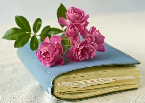 Маленькие розы в дневнике — стоковое фото