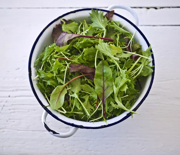 Bebek salata yaprakları — Stok fotoğraf