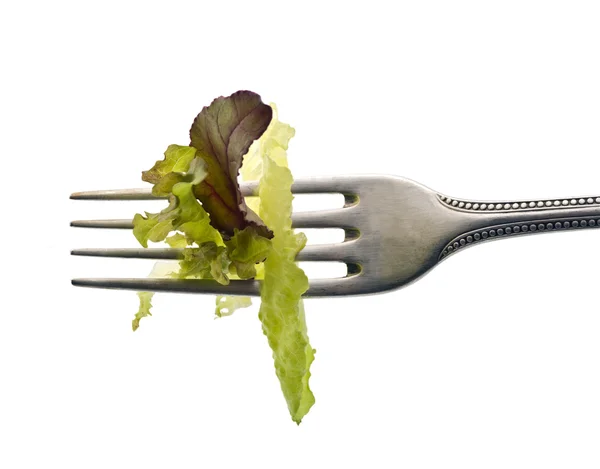 Salatblätter auf Gabel — Stockfoto