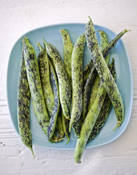 斑点のある新鮮な豆 — ストック写真