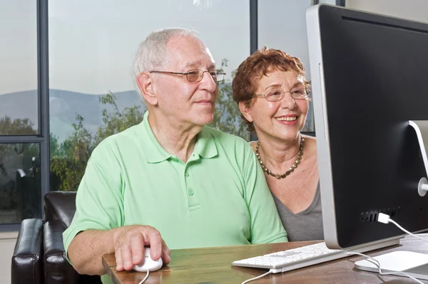 Ανώτερος ζευγάρι χρήση υπολογιστή — Φωτογραφία Αρχείου