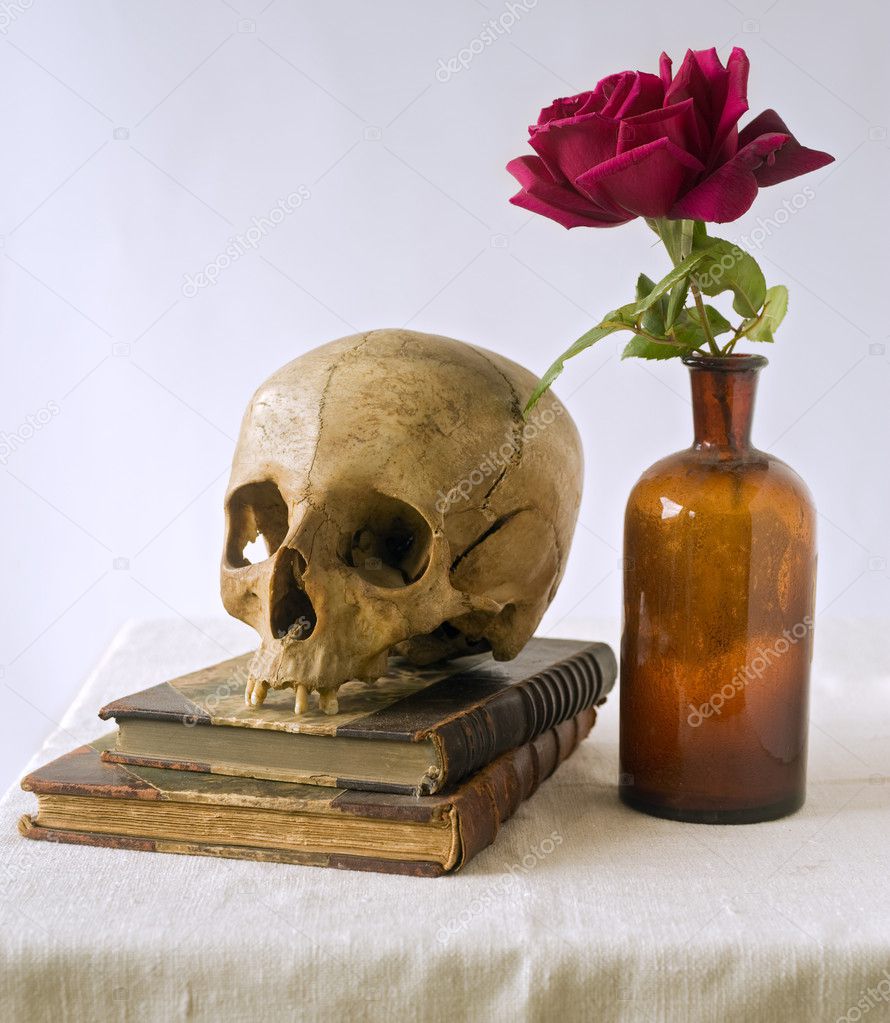 Skull on old books and rose