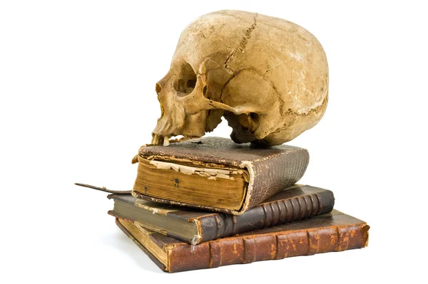 Crâne et vieux livres — Photo
