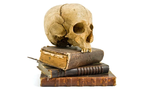 Crânio e livros antigos — Fotografia de Stock