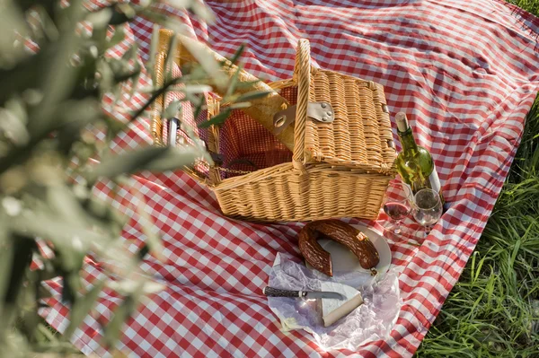 stock image Picnic basket