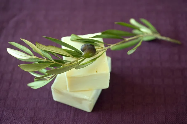 Mydło oliwne — Zdjęcie stockowe