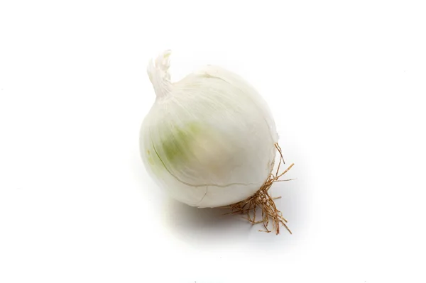 Beyaz soğan — Stok fotoğraf