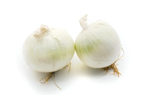 Cebollas blancas —  Fotos de Stock