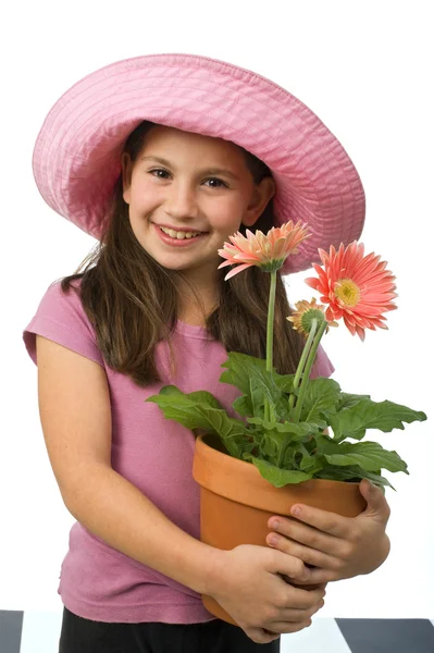 Jovem menina margaridas rosa — Fotografia de Stock