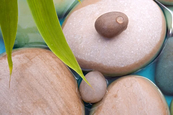 Pebbles bambu vatten — Stockfoto