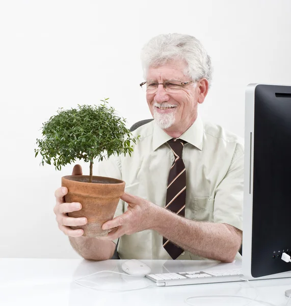 Ανώτερος επιχειρηματίας κρατώντας ένα φυτό — Φωτογραφία Αρχείου