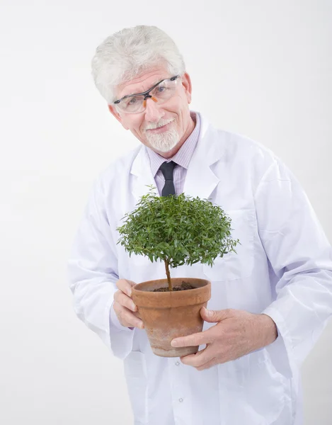 Vedoucí vědecký pracovník podniku rostlina — Stock fotografie