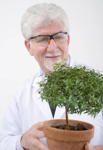 Senior scientist holding plant — Stock Photo, Image
