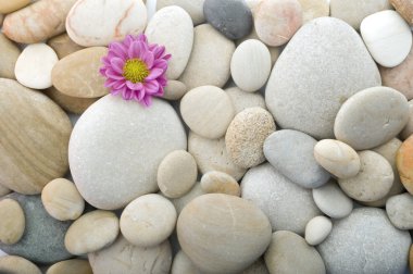 Pebbles background clipart