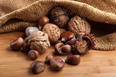 Chestnuts and hazelnuts clipart