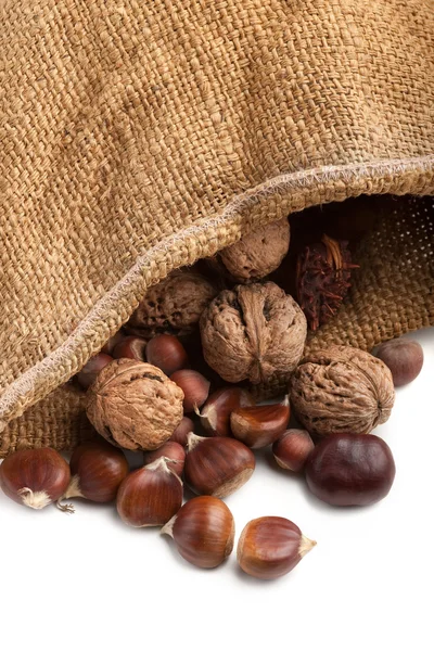 Каштаны, грецкие орехи — стоковое фото