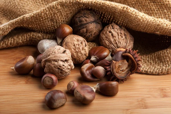 Kaštany a lískových ořechů — Stock fotografie