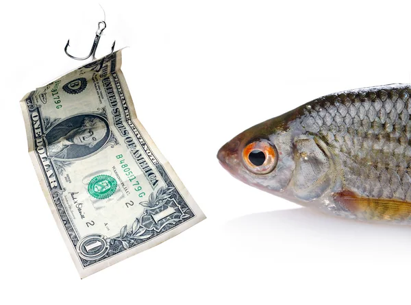 Fish and dollar — Stock Photo, Image