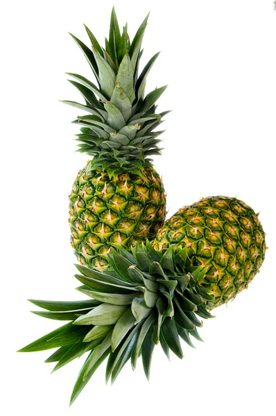 Deux ananas — Photo