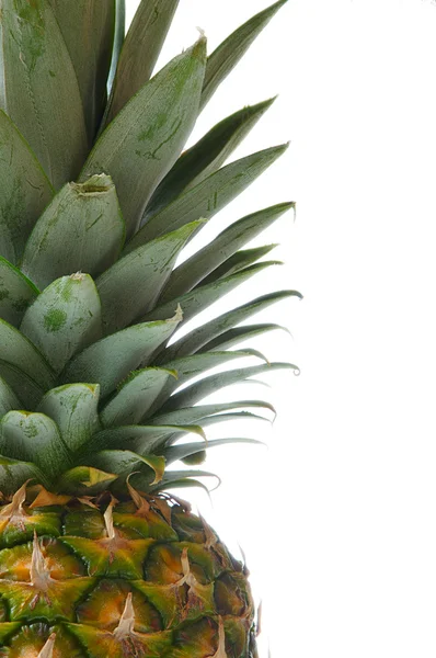 片段的菠萝 — 图库照片