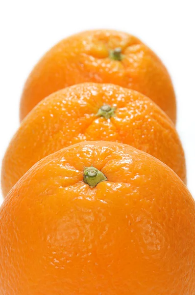Drie frash oranje — Stockfoto