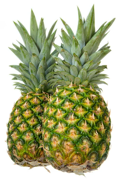 Due ananas interi — Foto Stock