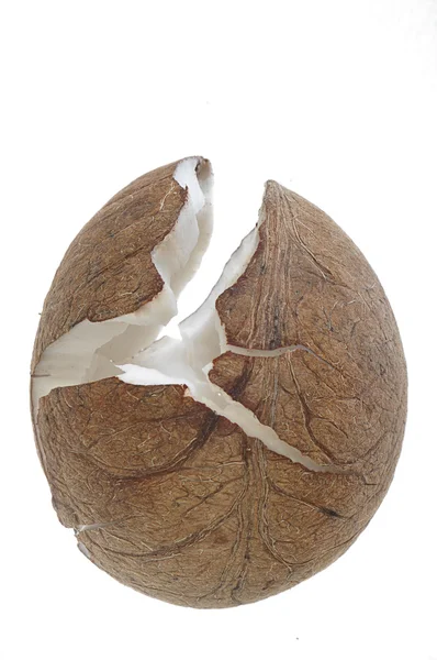 Coconut without shell — Stock Photo, Image
