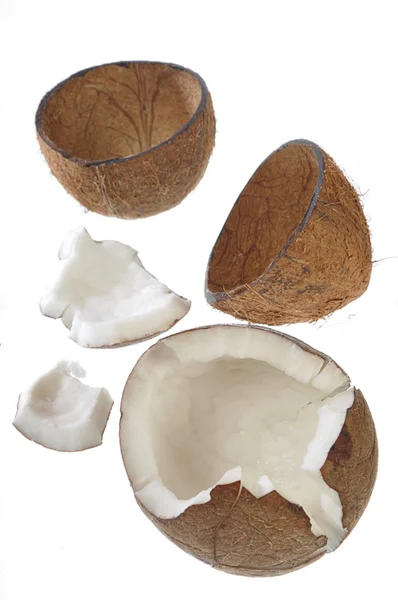 Nucă de cocos — Fotografie, imagine de stoc