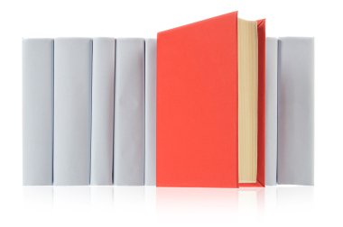 Kırmızı kitap ve gri kitap